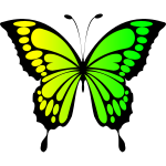 Butterfly Yellow Green